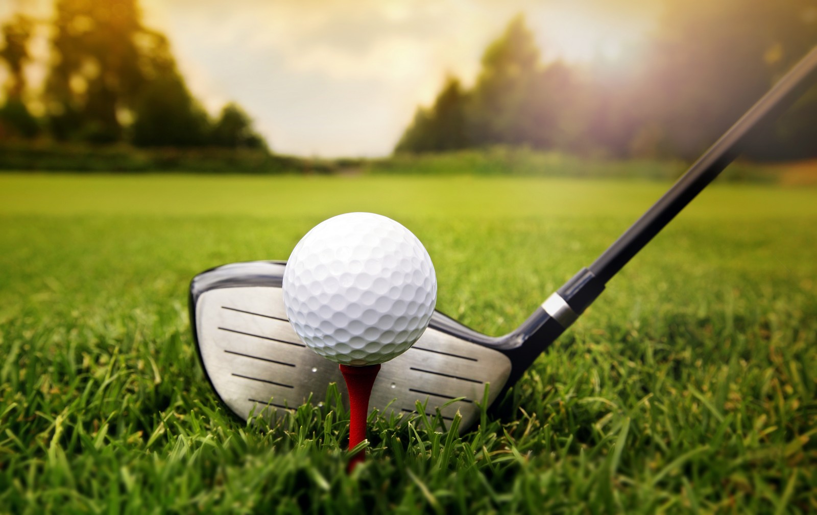 Golf-ball-on-the-green-grass Golf-ball-on-the-green-grass